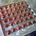 Cooksnap dari Aniyuliani untuk resep Doggie cookies