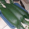 Cooksnap dari Hafiyatul Aslamiyah untuk resep Pepes Pindang Bakar 😊