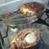 El cooksnap de analiadevas cuando hizo Pan de carne relleno.