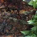 Cooksnap dari bbbbbb untuk resep Gurame Bakar teflon
