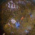 Zobia Sajjad's cooksnap of when they made Kali Daal.