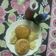 Rekha Ramchandani's cooksnap of when they made આલુ ટીકી બર્ગર (Aloo Tiki Burger Recipe In Gujarati).