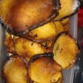 El cooksnap de Paola Monzon cuando hizo Buñuelos dulces.