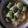 Cooksnap dari dione untuk resep Sayur asem sunda ala kadarnya