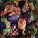 Cooksnap dari Tatta Young untuk resep Terong balado pedas mantep