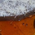Cooksnap dari Yanti Yuliana Alif untuk resep Puding custard Lapis coklat caramel