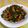 Cooksnap dari Bonita untuk resep Tumis kacang panjang wortel tempe