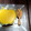 El cooksnap de Rolando Salazar cuando hizo Crema de zanahoria, calabaza y batata.