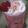 Sneha Patel's cooksnap of when they made રોઝ ગુલકંદ શાહી લસ્સી (Rose Gulkand Shahi Lassi Recipe In Guj.).