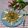 Cooksnap dari Lina Bachry untuk resep Mie Yamien Manis ala Resto