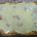 El cooksnap de Norma Rasguido cuando hizo Pizza súper esponjosa, líquida y alta.