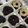 Cooksnap dari Putri melda untuk resep Bolu ketan hitam kukus lembuuut anti gagal