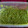 El cooksnap de Daiana Gomez cuando hizo Guacamole delicioso! 😋.