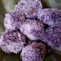 Cooksnap dari lisna.wati02559 untuk resep Kelepon ubi ungu sehat