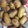fulopszilvia Fulop szilvia Cooksnap-ja, amikor elkészítette a(z) Corn dog falatkák receptet.