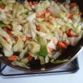 lillybeee13's cooksnap of when they made Napa Cabbage And Carrot / Diet Vegan.