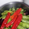 صورة من نسيم البحر 🌊، شاركها بعد تجربة وصفة محاشي فليفلة 🌶😋