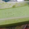 Cooksnap dari Ria Hendarti || Ummu Abdirrahman untuk resep Es krim dung dung rasa pandan