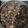 Cooksnap dari Agunk Gilank untuk resep Beef Teriyaki ala Hokben