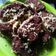 Cooksnap dari Ummu Yahya untuk resep Brownies kukus chocolatos cheese luar dalam