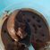 Cooksnap dari Eka Wijayanti untuk resep Ice Cream Chocochips