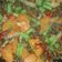 Cooksnap dari bundafreya untuk resep Tumis Buncis Wortel Daging Cincang