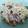 El cooksnap de Menci está cocinando cuando hizo Pasta con sardinas y frutos secos.