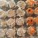Cooksnap dari anne goretti untuk resep Dimsum Mentai