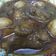 Cooksnap dari Tata untuk resep Semur daging kentang