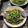 chiou璋 的 清蒸鱸魚（年年有餘） cooksnap