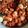 Cooksnap dari Debby Deborah untuk resep Sambal Goreng Tempe Telur Puyuh (No Santan)