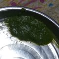 Bhavya food and snacks vlog का कुकस्नैप जब उन्होंने चटनी (chutney recipe in Hindi) बनाया था।