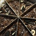 Cooksnap dari Prita Indra untuk resep Brownies fudgy shiny crust (oven tangkring)