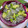 El cooksnap de ₵♡Ϛ❘Ν₳ νΕ₲α₪Ⓐ✍. Salvador. cuando hizo Dip de pitahaya con aguacate.