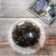 Cooksnap dari Siswaty Elfin Bachtiar untuk resep Nutrijell Cincau