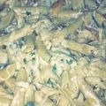 صورة من Om Elyas، شاركها بعد تجربة وصفة باستا بالكريمة 🍲