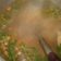 Cooksnap dari Heppy Zanissa untuk resep Sop Ayam Ala Pak Min Klaten