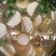 Cooksnap dari Amalianty Flavia untuk resep Soto Lobak Bandung Bumbu Simple