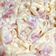 Cooksnap dari Lennie Huang untuk resep Creamy Fettucini Carbonara