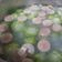 Cooksnap dari Citra Ayu Mauludya untuk resep Sayur bening oyong soun
