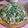 Cooksnap dari Vincentia R.Indah H untuk resep Trancam (Urap Sayur Mentah)