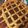 El cooksnap de Emiliano Armanasqui cuando hizo Pasta frola.