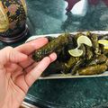 صورة من المطبخ العالمي من عالمي الخاص😋😌، شاركها بعد تجربة وصفة دوالي(ورق عنب)😋😋