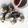 Cooksnap dari Cila Nashirah untuk resep Gimbap Bunga
