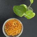 Rashi Mudgal का कुकस्नैप जब उन्होंने आलू लच्छा (aloo lachcha Recipe in Hindi) बनाया था।
