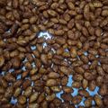 Cooksnap dari nadia untuk resep Honey Butter Roasted Almond