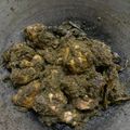 Cooksnap dari aral davista untuk resep Gulai ayam lado mudo (cabe ijo) khas Padang