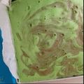 Cooksnap dari Ndahji Seckartadji untuk resep Cake Chiffon Pandan Kukus