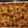 Kohrmj312's cooksnap of when they made Sausage biscuits eggs casserole.