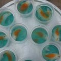 Cooksnap dari Riesna CPS untuk resep Puding ikan koi